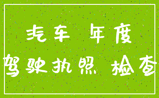 汽车 年度_驾驶执照 检查
