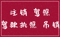 驾驶证注销了去恢复好再去保险公司