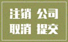 在内江注销公司流程