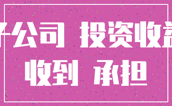 子公司 投资收益_收到 承担