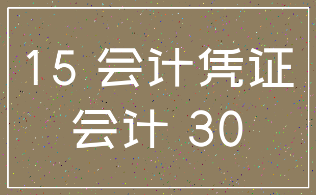 15 会计凭证_会计 30