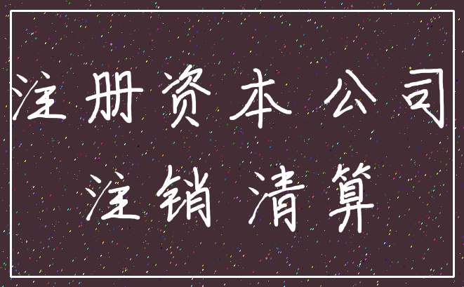注册资本 公司_注销 清算