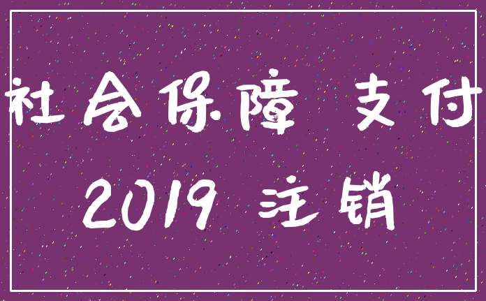 社会保障 支付_2019 注销