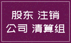 股东会决议税务注销公司
