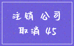 临武公司注销代办
