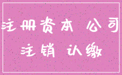 认缴出资额公司注销
