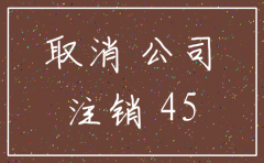 广州市注销公司花费多少费用