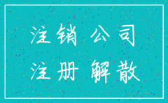 嘉兴南湖区公司注销流程
