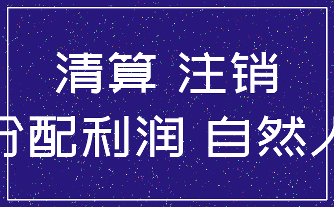清算 注销_分配利润 自然人