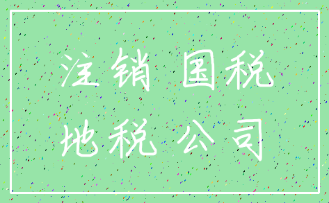 注销 国税_地税 公司