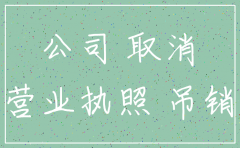 行政处罚期间公司能否注销