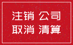 个人去办理公司注销吗