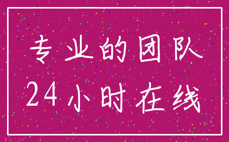 专业的团队_24小时在线