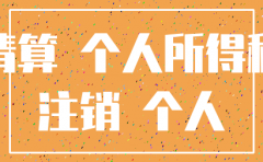 公司注销清算利润