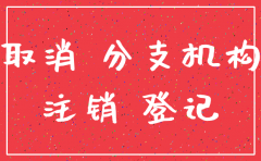 分公司注销表格在脑哪里下载