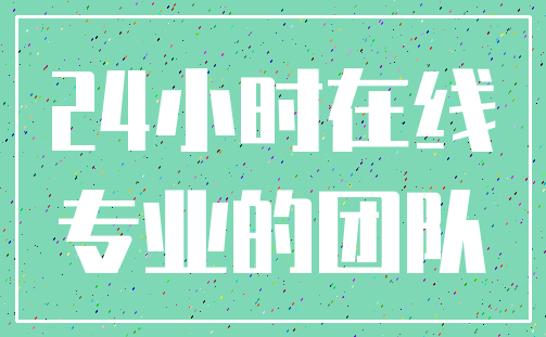 24小时在线_专业的团队