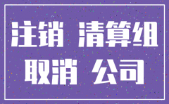 深圳公司注销公告登报