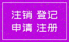 广东公司注销流程