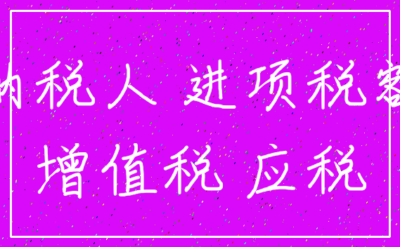 纳税人 进项税额_增值税 应税