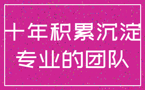 十年积累沉淀_专业的团队