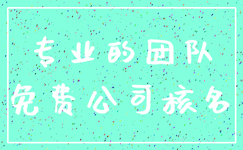 专业的团队_免费公司核名