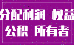 有限公司注销亏损怎么分配