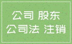 公司注销未清算股东责任
