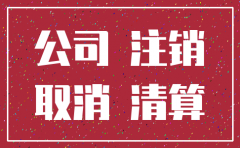 怎样办理公司简易注销