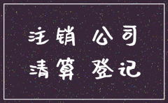 登报后几天办理公司注销