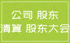 独资公司注销决议书范本