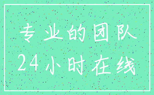 专业的团队_24小时在线