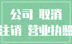 总公司可以注销吗
