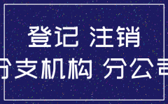 非独立核算分公司国税注销申请
