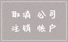 公司业务注销