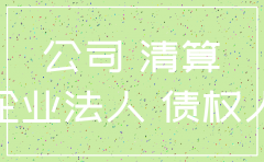 分公司注销债务诉讼