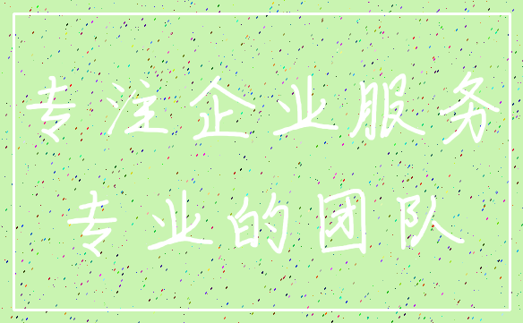 专注企业服务_专业的团队