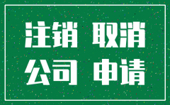 公司简易注销提交材料