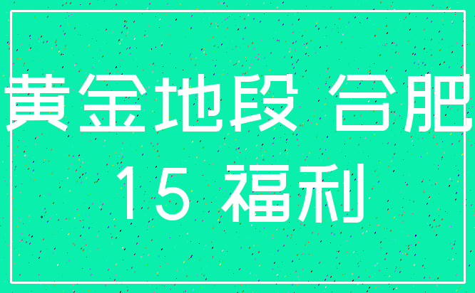 黄金地段 合肥_15 福利