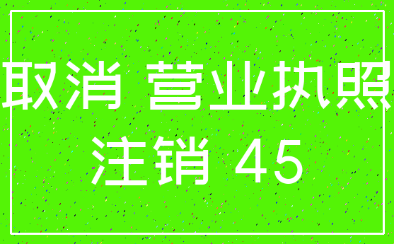 取消 营业执照_注销 45