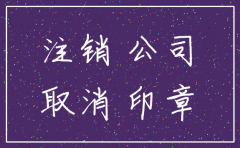 未使用的公司注销流程