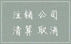 怎么批复公司注销