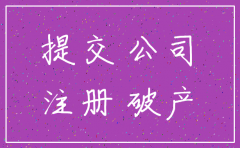 山西省有限公司注销的程序
