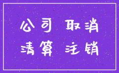一人有限公司注销的后果