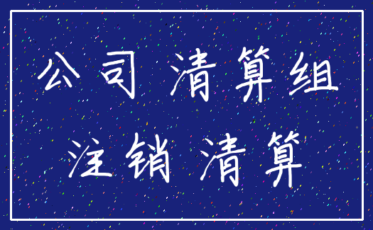公司 清算组_注销 清算