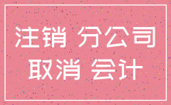 非独立分公司注销利润分配
