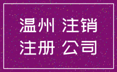 温州公司注销在哪里办