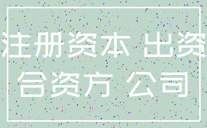 注册资本 出资_合资方 公司