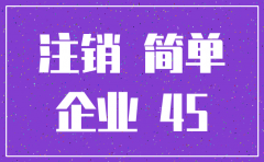 北京简易注销公司承诺书