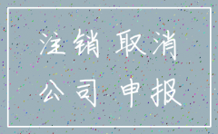 公司零审报不注销可以吗