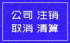 贵州省小贷公司注销流程图